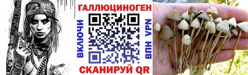 Псилоцибиновые грибы прущие грибы  Вытегра 